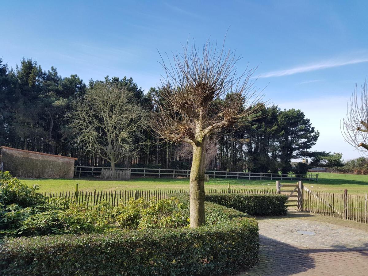 Bergenhof Couette-café Hoogstraten